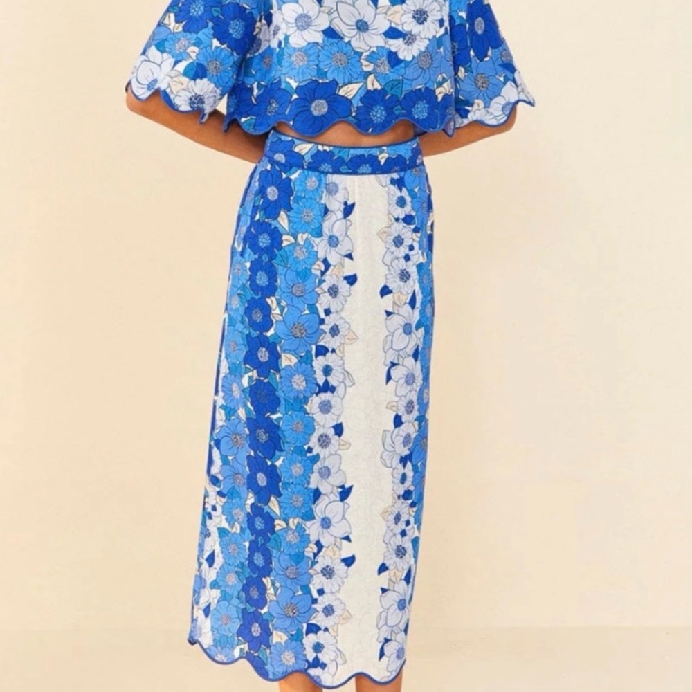 Farm Rio Blue Flower Stripes Skirt SM M